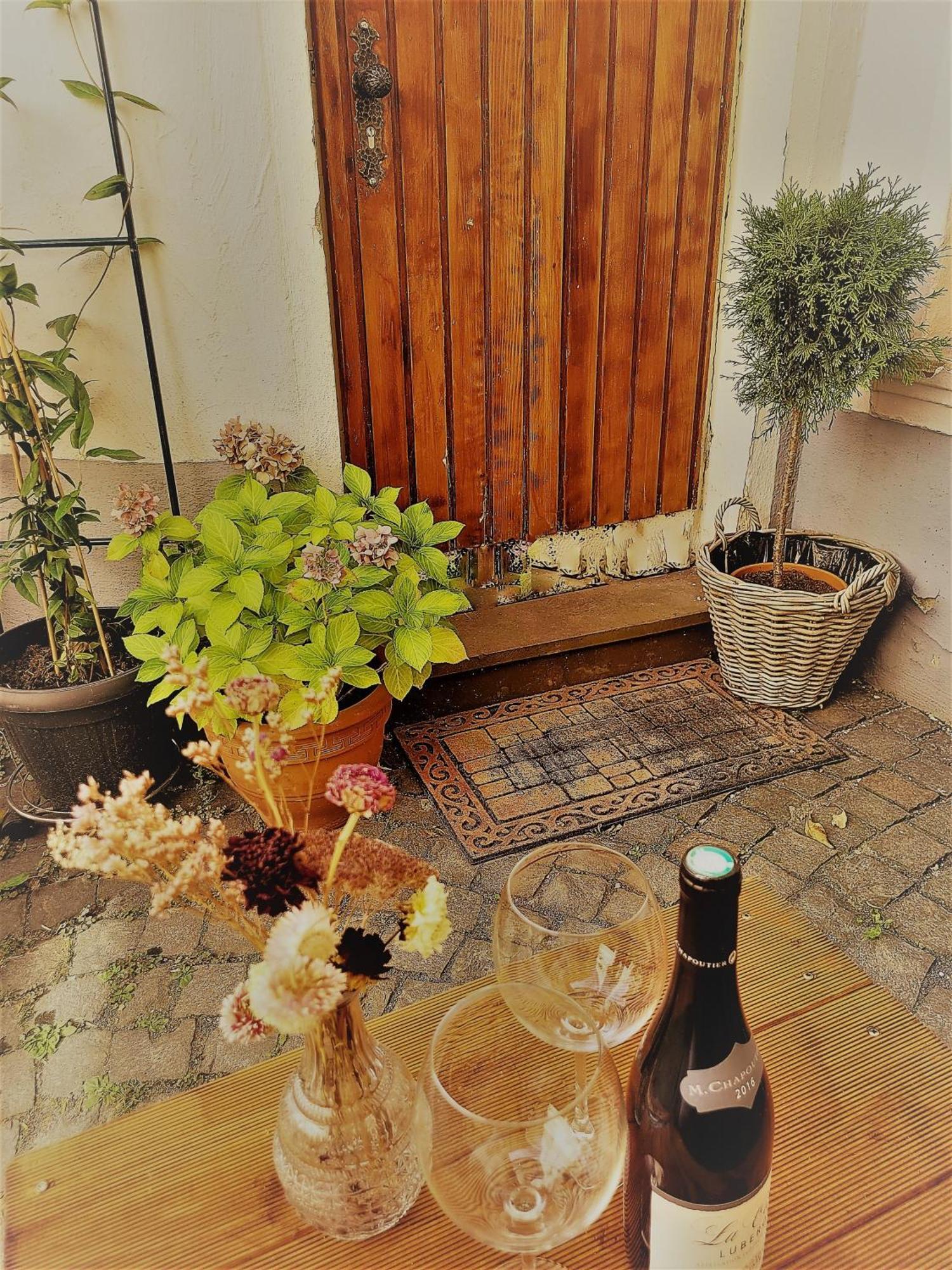 Ferienwohnung Villa Wolke 상트벤델 외부 사진